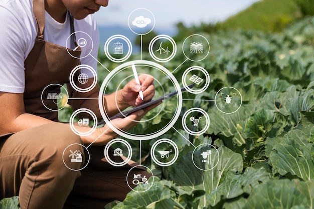 Agriculture technology farmer woman holding tablet or tablet technology to research about agriculture problems analysis data and visual iconSmart farming xA