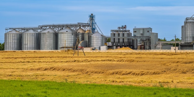 Agro silos granary elevator with seeds cleaning line on agroprocessing manufacturing plant for processing drying cleaning and storage of agricultural products in rye corn or wheat field