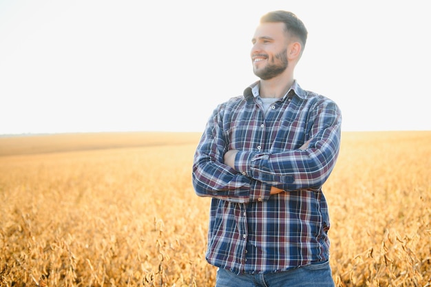 Agronomist or farmer examining crop of soybeans field