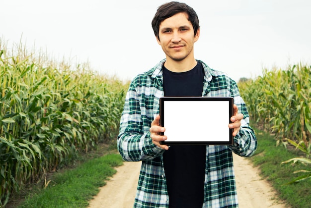 The agronomist holding the digital tablet with blank white screen in hands in front of field with corn