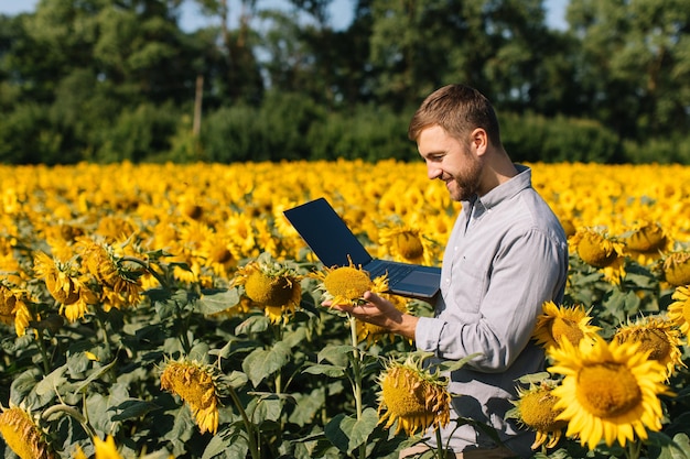 Agronomist with laptop inspects sunflower crop in agricultural field