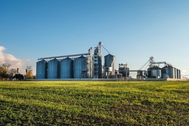 Agroprocessing plant for processing and silos for drying cleaning and storage of agricultural products flour cereals and grain