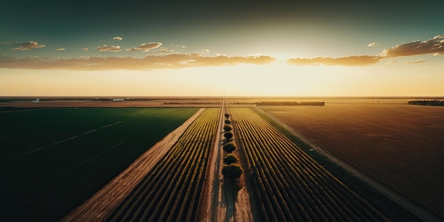 AI Generated AI Generative Photo realistic illustration of wild countryside landscape texas