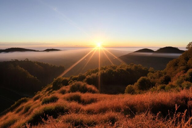 Photo an ai generated illustration of a stunning sunrise illuminating a beautiful valley filled with lush trees