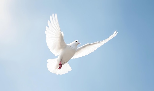 AI generative White dove against blue sky