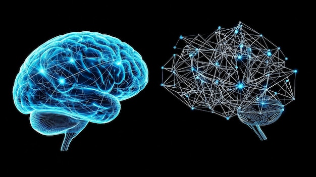 An AI powered neural network and a human brain visualized together symbolizing the partnership and collaboration between human and stock