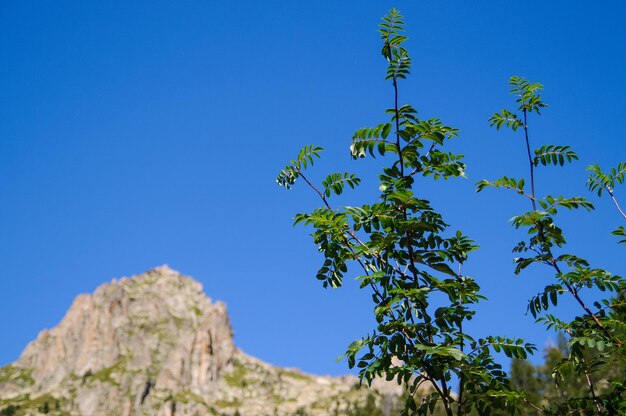 Aiguestortes national park