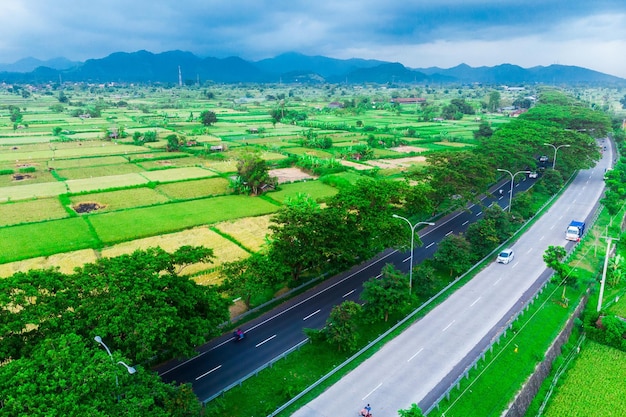 Air view of green fields green rice and road with cars in Amed Bali Indonesia