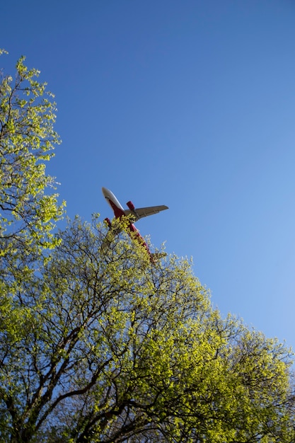 Aircraft approaching on final over tropical island a plane in a blue sky near a tree branch