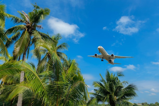 airplane flying over tropical palm trees clear blue sky vacation time