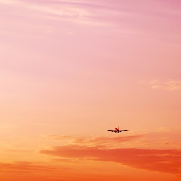 Airplane taking off and rising high in pink sunset sky vacation concept