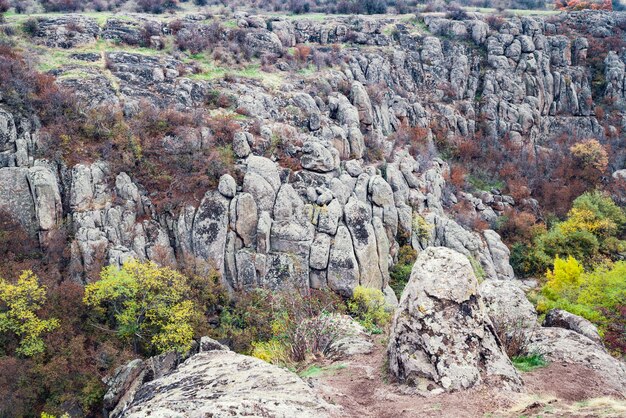 Aktovsky Canyon, Ukraine. Autumn trees and large stone boulders around