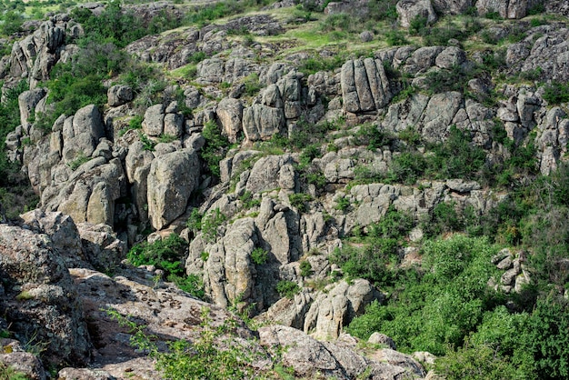 Aktovsky canyon in Ukraine a tourist place Cluster of stones panoramic views of green slopes