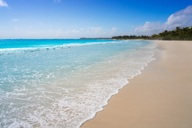 Akumal Caribbean beach in Riviera Maya