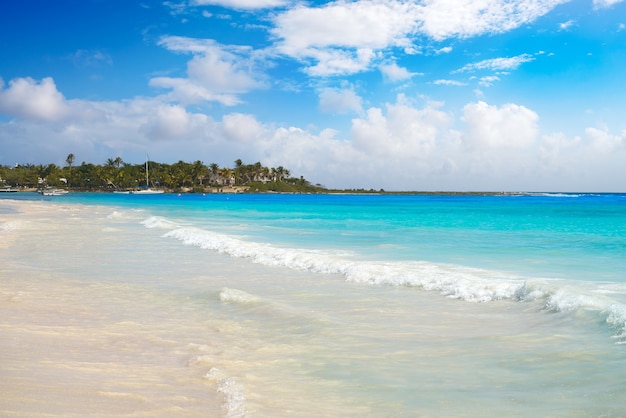 Akumal Caribbean beach in Riviera Maya