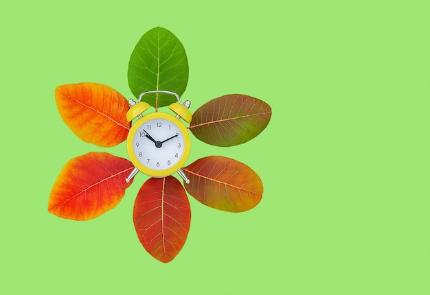 Alarm clock in the center of a circle of autumn leaves