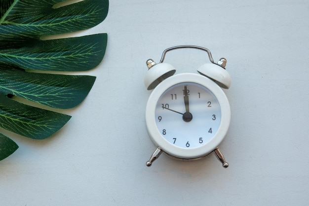 Alarm clock on the tropical monstera leaves and white background