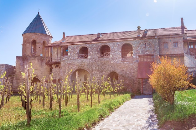 Alaverdi monastery vineyard in Kakhetia Georgia