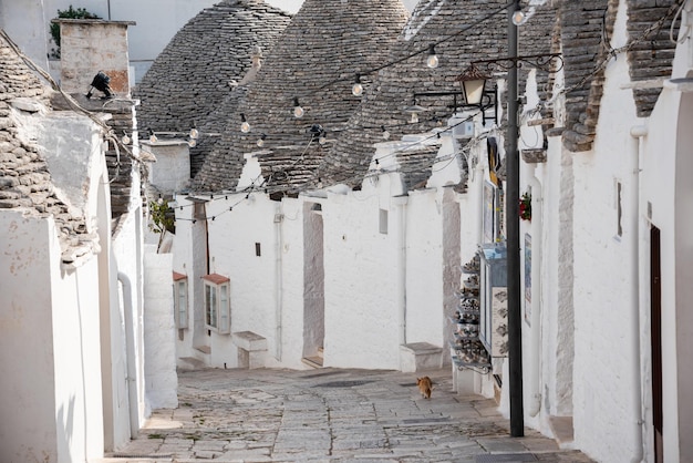 Alberobello town in Italy famous for its hictoric trullo houses