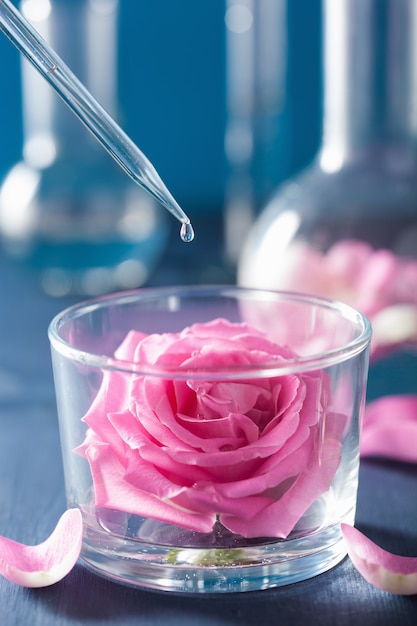 Alchemy and aromatherapy with rose flowers and chemical flasks