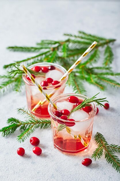 Alcoholic cocktail or nonalcoholic mocktail with vodka and iced cranberries with fir branches for ch