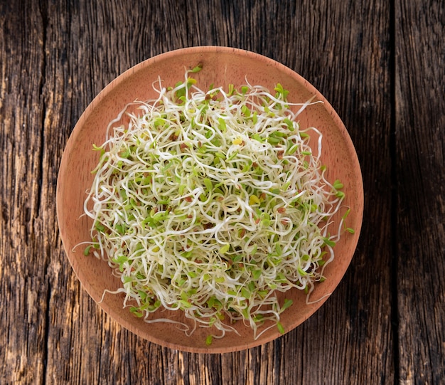 Alfalfa Sprout in wood plate on wood table