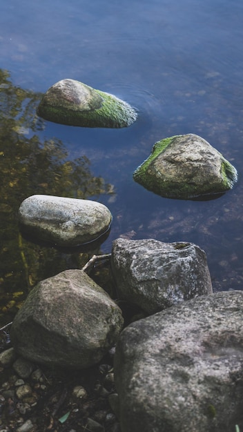 Algaecovered rocks on the shore of the stone shore of the lake