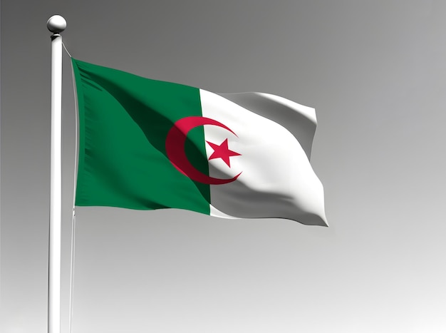 Algeria national flag waving on gray background