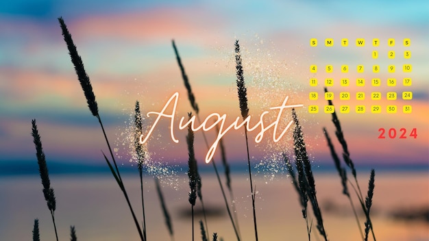 Photo all seasons colorful calendar august 2024