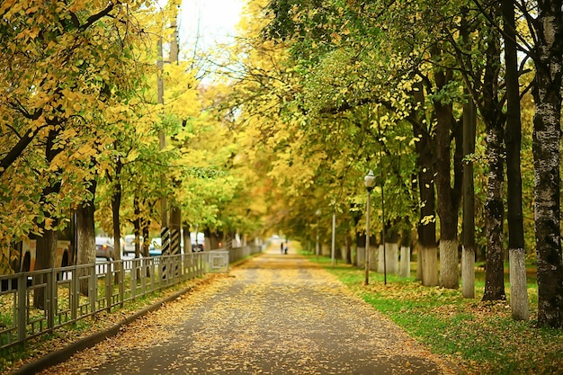 alley in autumn park landscape, fall yellow road seasonal landscape in october in the city