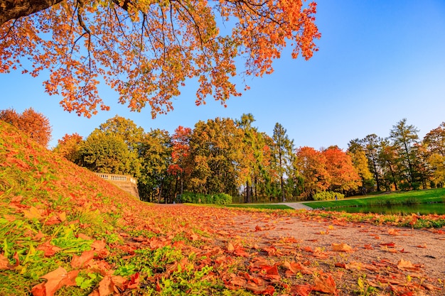 The alley of the autumn park  The season is autumn September October November