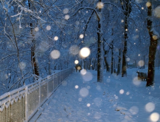 Alley in a park covered with snow and couple in walking in winter park in s