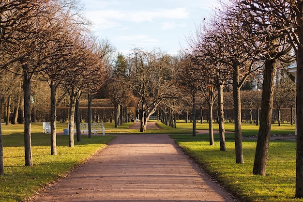 Alley in the park in Pushkin in autumn