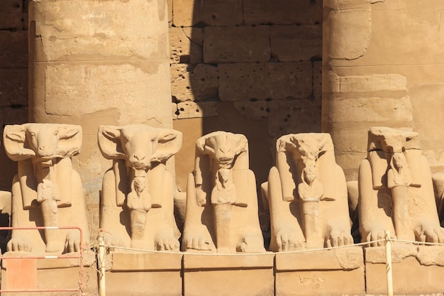 Alley of sphinxes at Karnak Temple Complex in Luxor Egypt