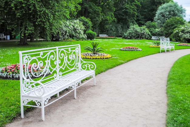 Alley of Tsarskoye Selo in St. Petersburg