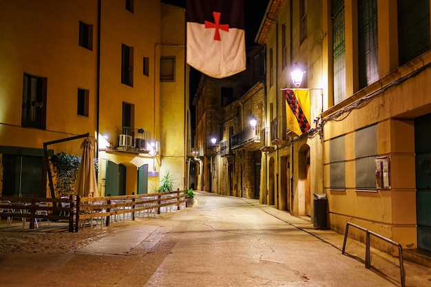 Alley with old stone houses at night in the medieval village of Besalu Girona Spain