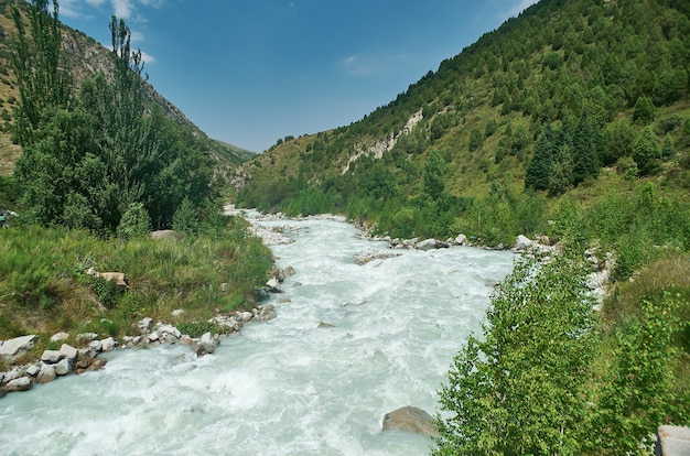 Alley with river and forest Ala Archa National Park