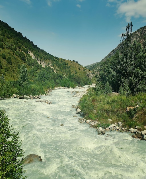 Alley with river and forest