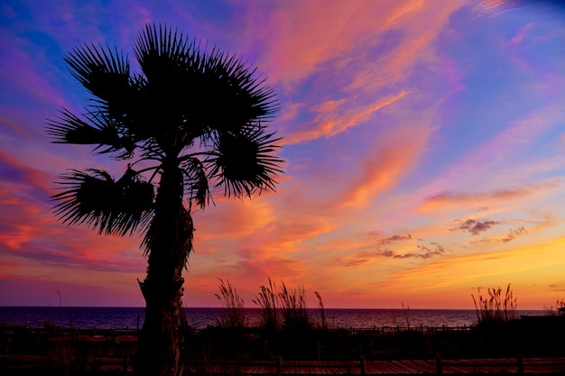 Almeria Cabo de Gata sunset pam trees Retamar