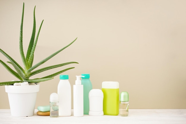 Aloe vera and composition of body care and beauty products on a beige background space for text