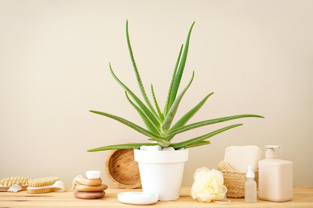 Aloe vera and composition of body care and beauty products on a wooden table