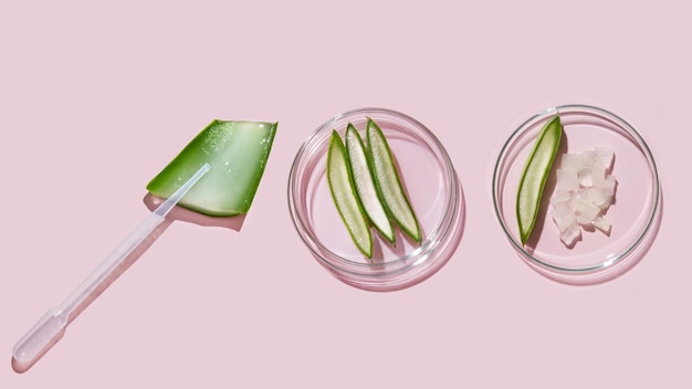 aloe vera and cosmetic ingredients, aloe petri dishes, cosmetic research, sliced aloe, aloe juice