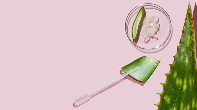 aloe vera and cosmetic ingredients, aloe petri dishes, cosmetic research, sliced aloe, aloe juice