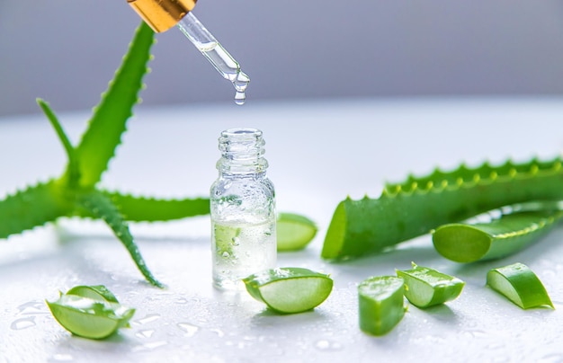 Aloe vera cosmetics and medicine Selective focus