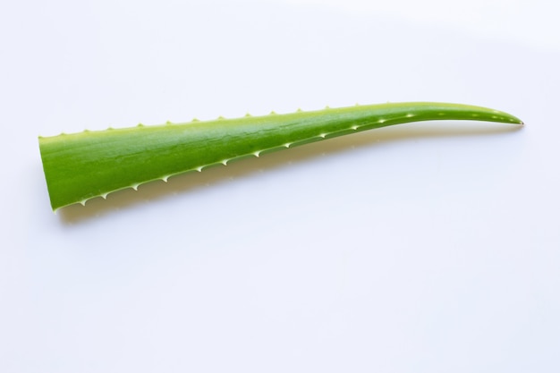 Aloe vera fresh leave on white background. 