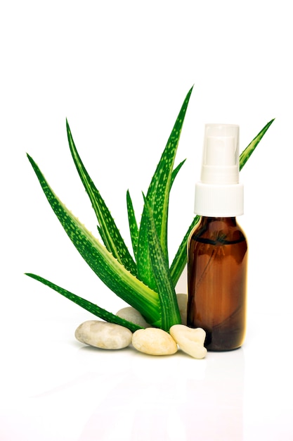 Aloe Vera leaves and Aloe Vera products .