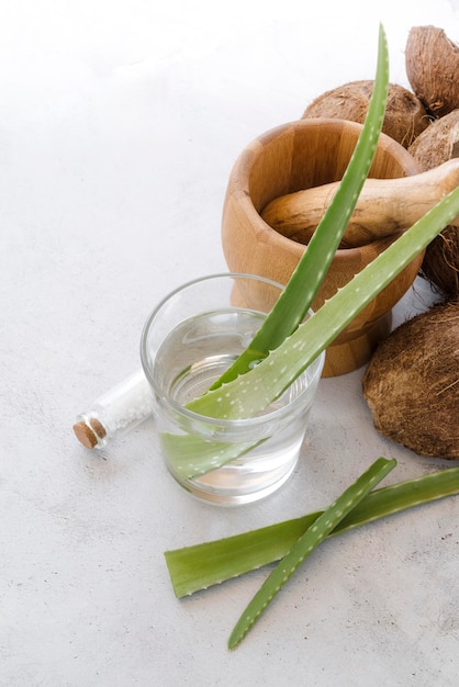 Aloe vera leaves in a glass and coconut