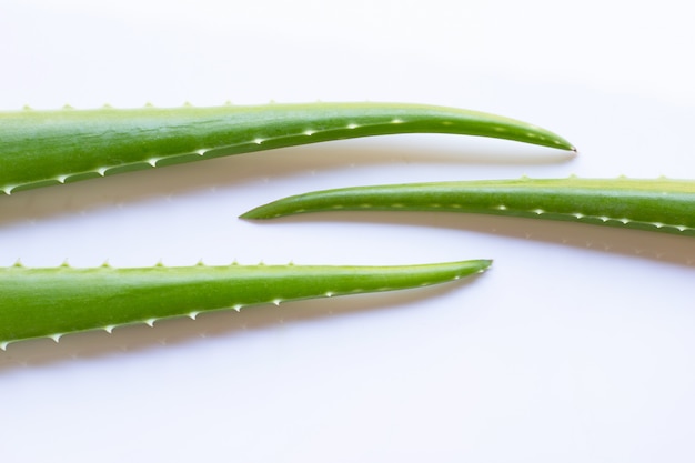 Aloe vera leaves on white 