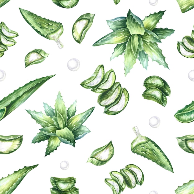 Aloe vera seamless pattern, watercolor illustration.