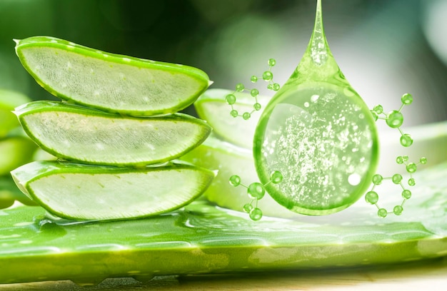 aloe vera serum